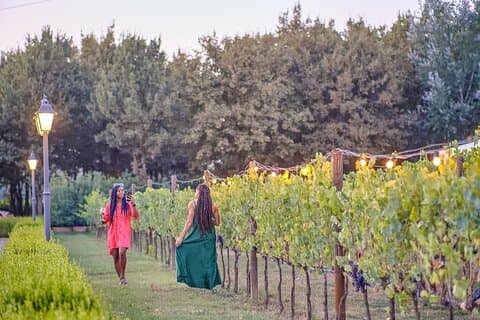 Exclusive Winery Tour with Tasting and Dinner in Chianti vineyard