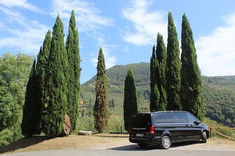 Tasting in a Tuscan Vineyard with transfer from Pisa