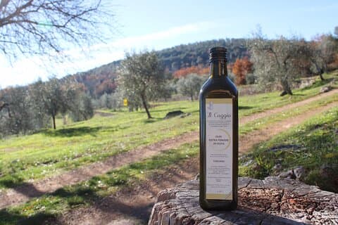 Evo Oil Experience with Oil Tasting and Lunch in the Nature