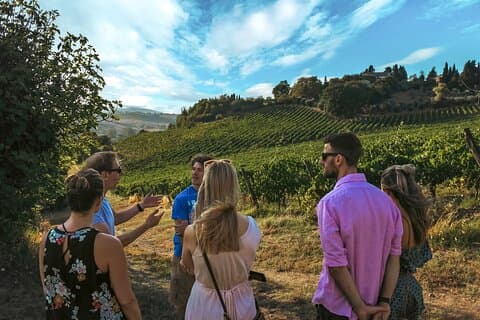 Winery Tour and Wine Tasting in Siena