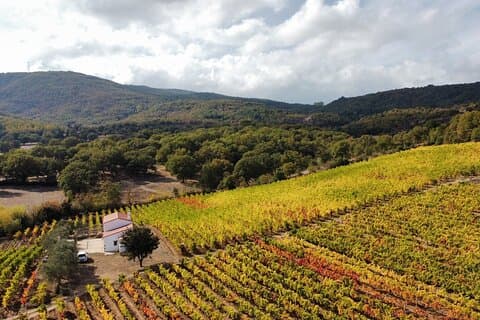 Winery Tour with Wine and Food Tasting in Nuoro