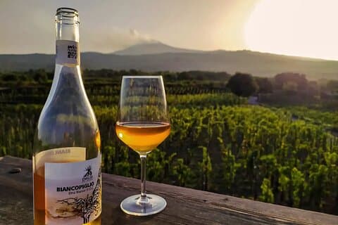 Etna white wine at sunset, vineyard and Etna in the background