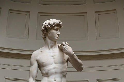Michelangelo's David Accademia gallery guided tour
