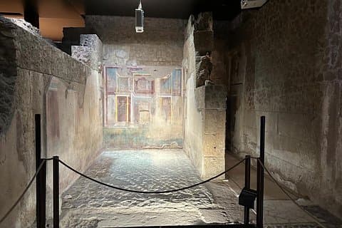 Private Ancient Rome Tour of Domus Tiberiana & Palatine Hill
