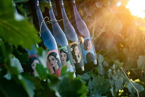 Marsala Tasting of 5 Sicilian organic wines