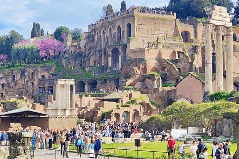 Rome: Guided Tour of the Roman Forum & Palatine Hill