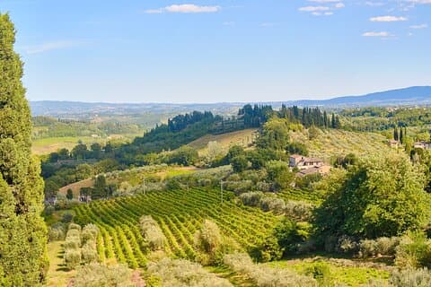 Private Tuscany Tour from Florence Including Siena, San Gimignano and Chianti Wine Region