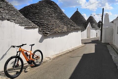 E-bike Guided tour Locorotondo and Alberobello, wine in vineyard