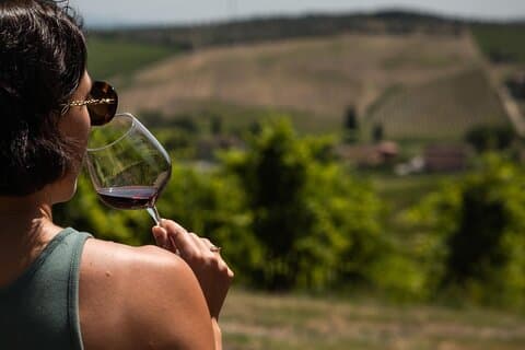 Wine experience in the Tuscan hills with tasting in Vinci