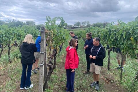 Private Wine Tasting Tour, Taormina and Messina from Messina