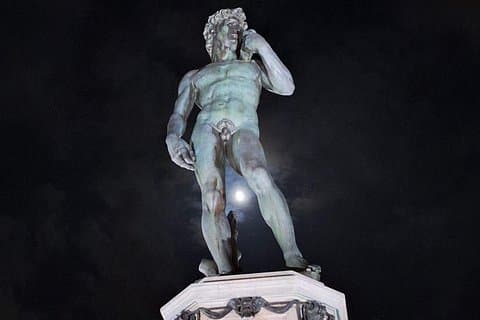 Timed Entrance to Galleria dell'Accademia David's Statute