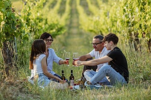 Montalcino: exclusive picnic in the vineyard with wine basket