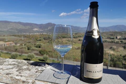 Castelmola and Etna Wine Tasting Tour from Messina