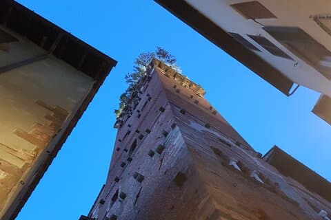Early morning Lucca private walking tour