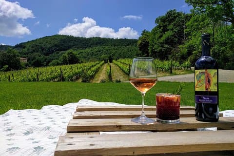 Montepulciano: A picnic with wine, surrounded by vineyards