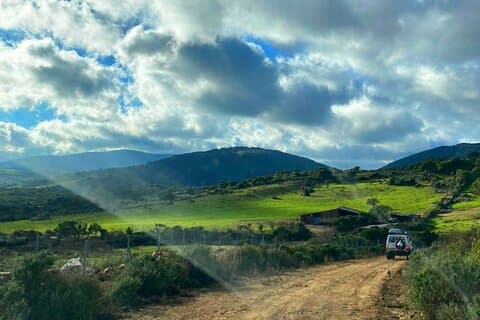 From Tempio Pausania: jeep tour to Mount Limbara