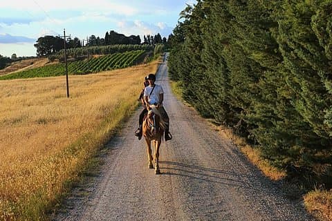 Horseback Riding in the Tuscan Vineyards