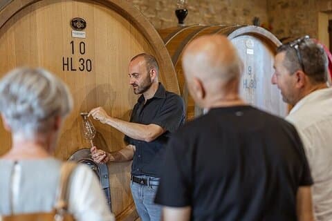 From Siena Brunello di Montalcino Wine Tour with Lunch