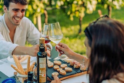 Wine and Food Tasting in the Vineyards in Lazise