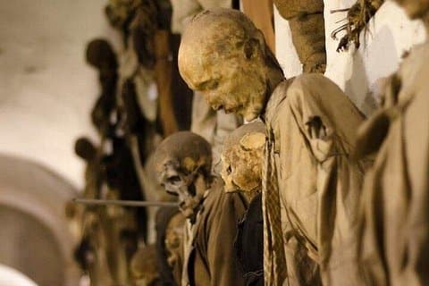 The largest mummy museum in the world