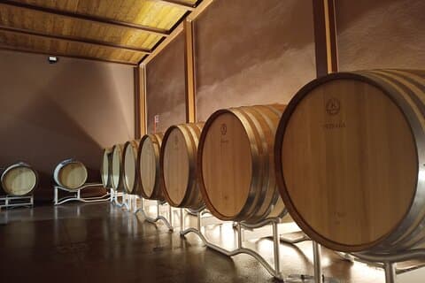 The ripening room