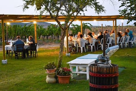 Alghero: lunch or dinner in the vineyard