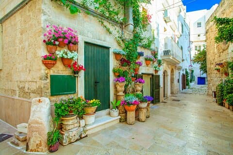 Direct and Private Transfer from Naples to Bari