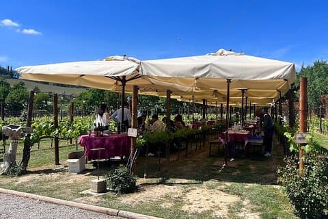 From Florence: Siena and San Gimignano, Full Day Wine Tour