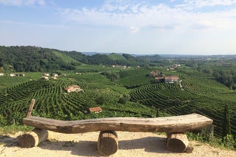 From Venice: day trip to the Prosecco hills with wine tasting