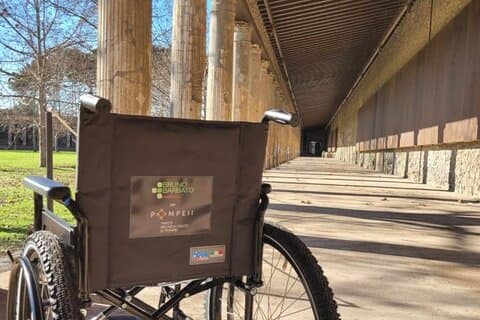 Private Wheelchair Accesible Tour from Naples to Pompeii