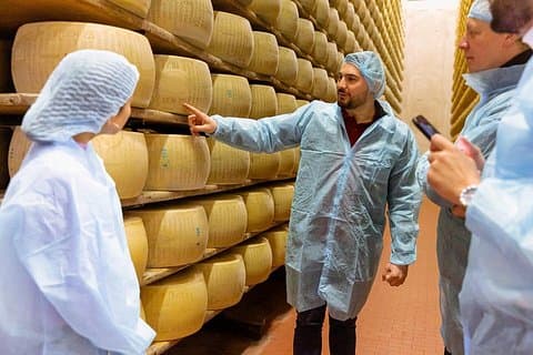 Visiting the Parmigiano Reggiano dairy farm