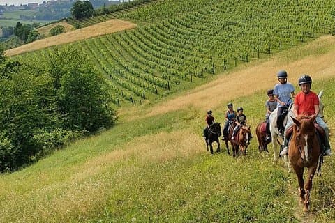 Horse Riding Adventure in Langhe: Piemonte's Scenic Vineyards
