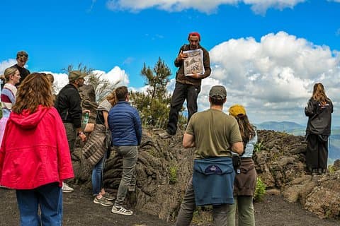 Pompeii & Mt. Vesuvius Elite Tour & Lunch From Naples