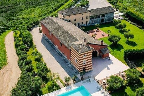 Vineyard tour with tasting of 4 wines on Garda Hills