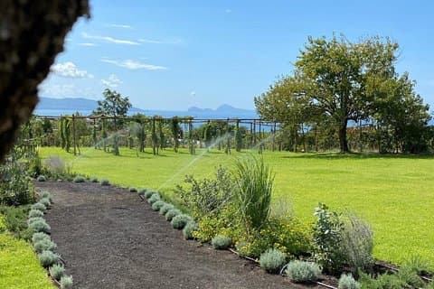Wine Tasting on Mt. Vesuvius & Lunch