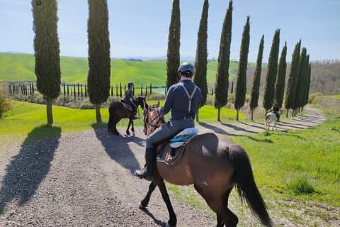 Tuscany Horseback Riding Experience in Buonconvento