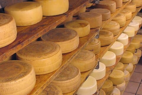 Tuscan Olive Oil and Cheese Tasting Tour with San Gimignano