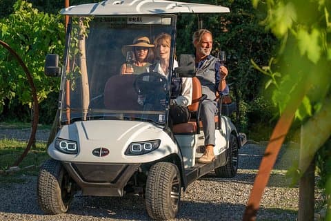 Tuscan vineyard golf cart tour with wine tasting and lunch