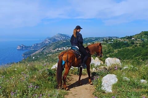 Explore the charming hills of Massa Lubrense on horseback