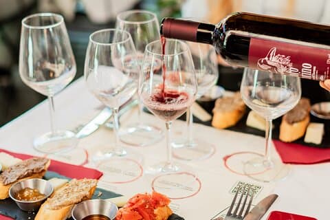 Pisa guided tour and Wine tasting with Leaning Tower ticket