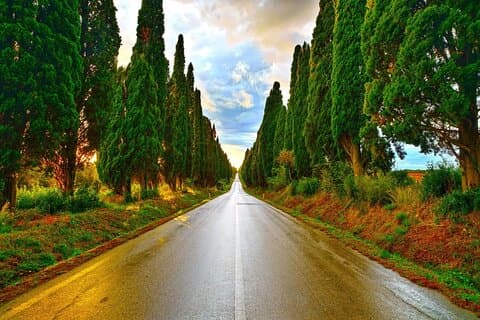 Livorno Experience Coast Tour and Wine Tasting