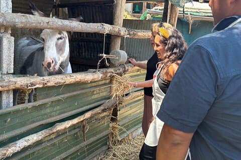 From Sorrento: Farm-to-Table Pizza and Cheese-Making Class