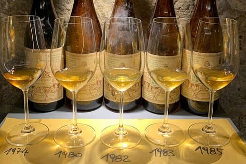 Wine tastings in Pisa City Center