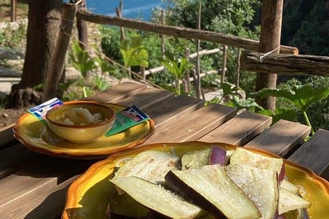 Tasting on the Path of the Lemons with Tour in the Lemon grove