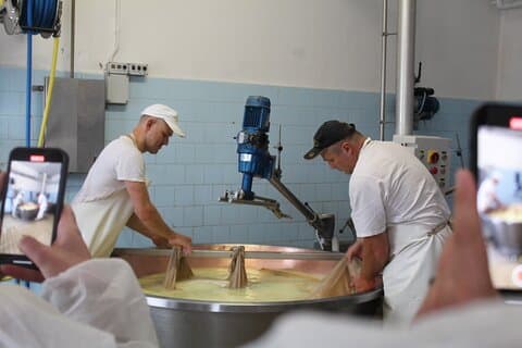 Parmigiano Reggiano & Aceto Balsamico tour with lunch