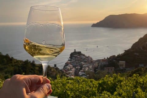 Heroic : Vineyard Trekking & Authentic Wine Tasting in Vernazza