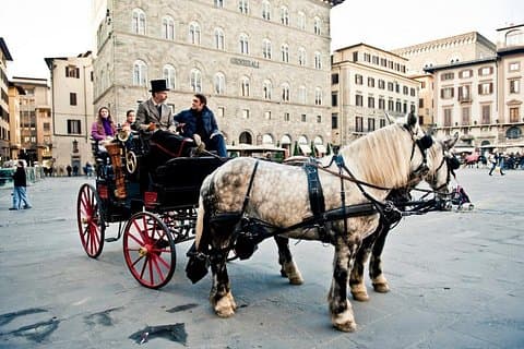 Horse Drawn Carriage Ride in Florence