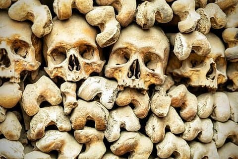 Bones Crypts