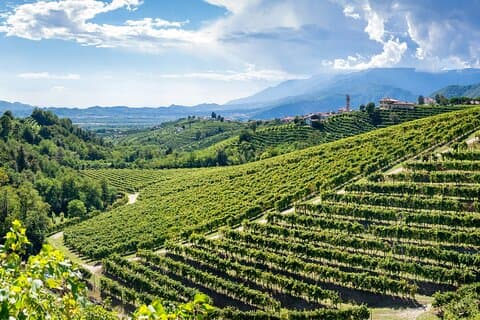 Valdobbiadene PROSECCO Private Tour and Taste with Sommelier
