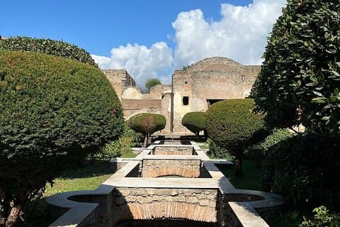 Pompeii with an Archaeologist Shared or Private Tour from Salerno